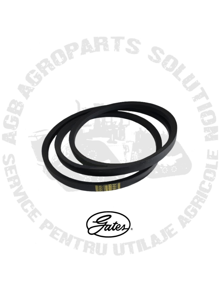 Curea V Gates H138762 0302258