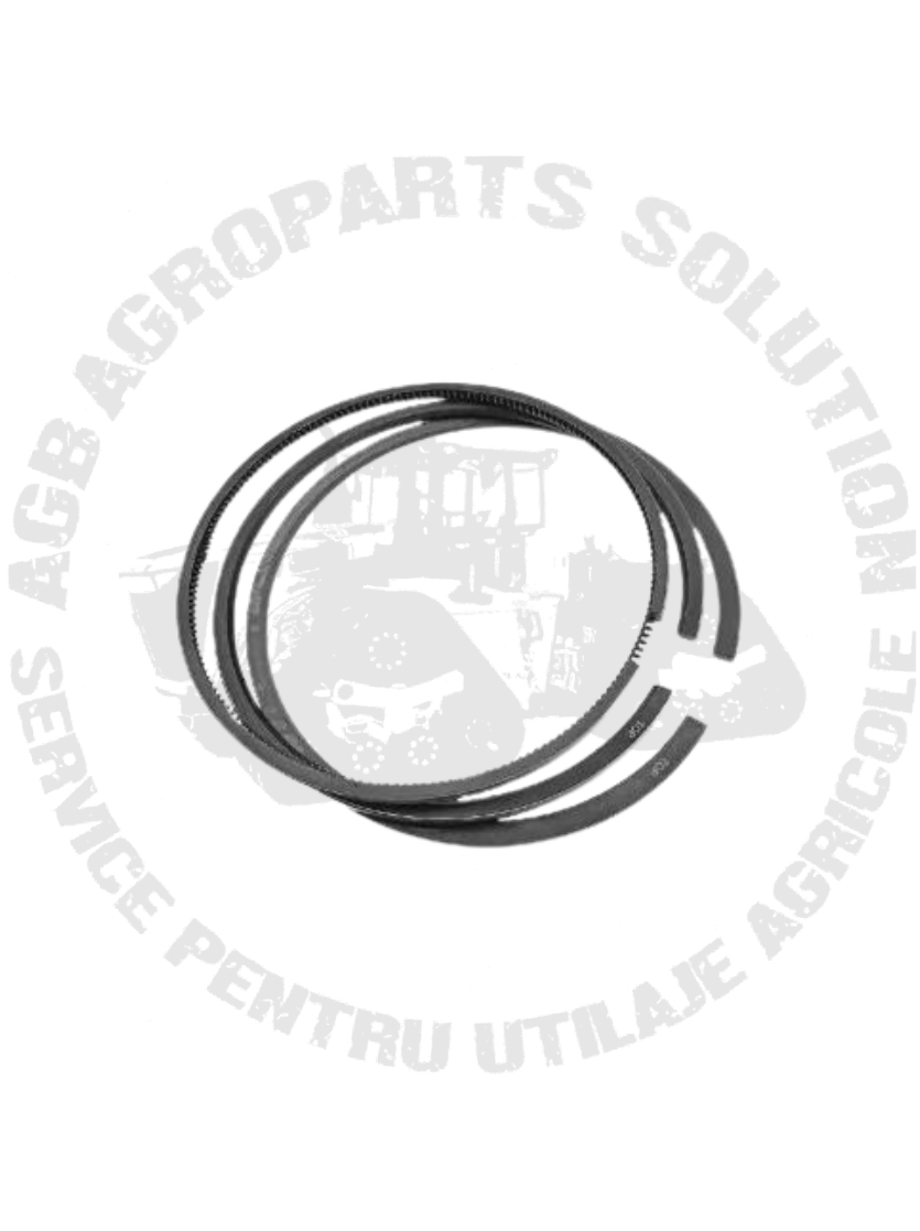 Segmenti RE524453