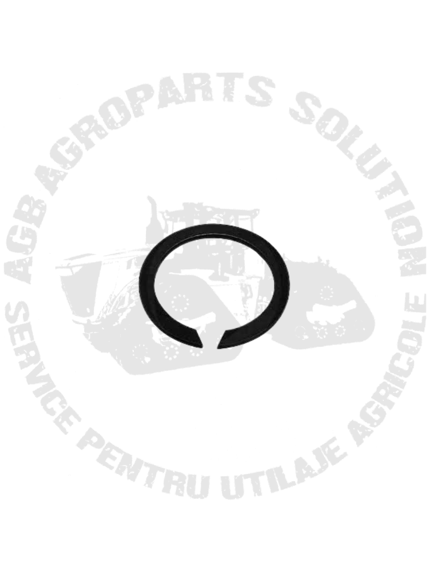 Siguranta L100169