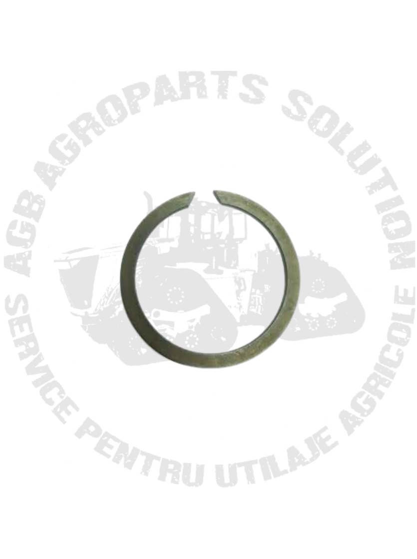Siguranta L170237