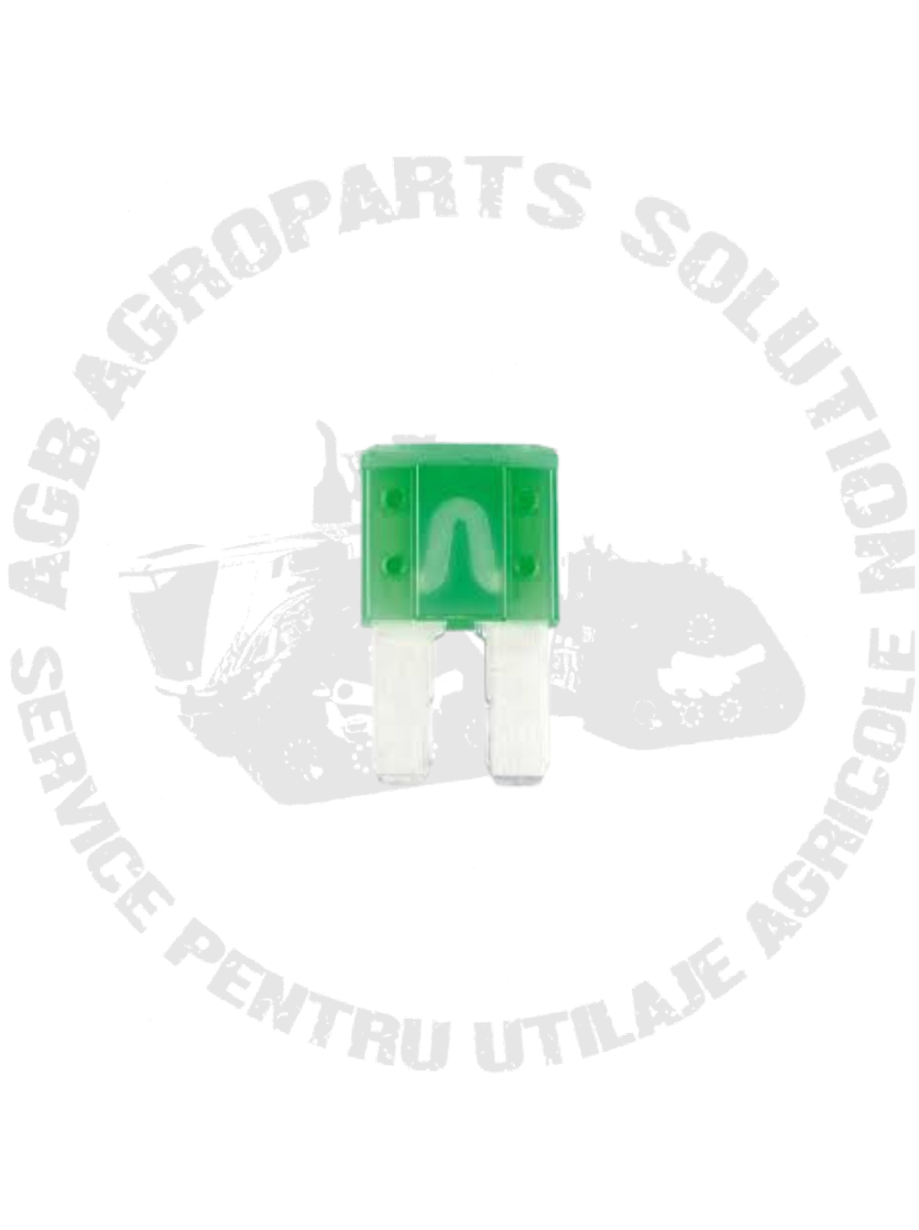 Siguranta Microfuzibila 30A