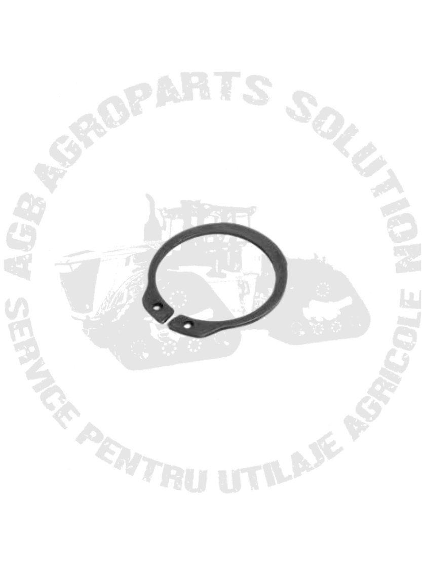 Siguranta Pinion Pivot R126686