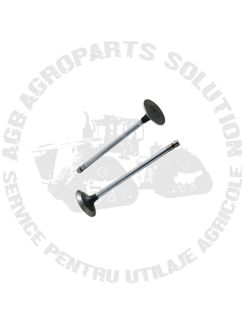 Supapa Admisie R502369