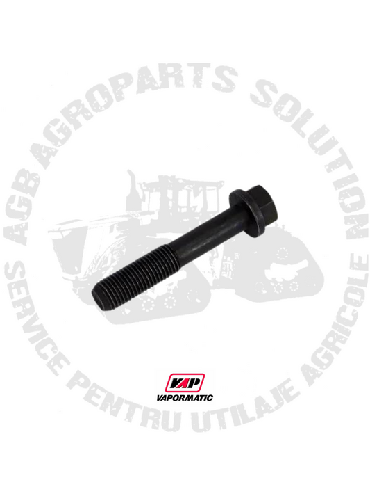 Surub Biela R80033 VPB6108