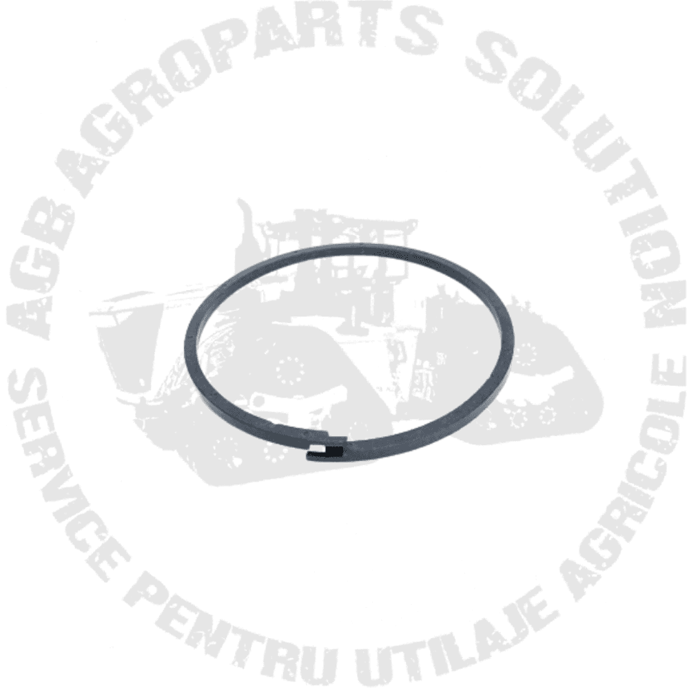 Segmenti R204521