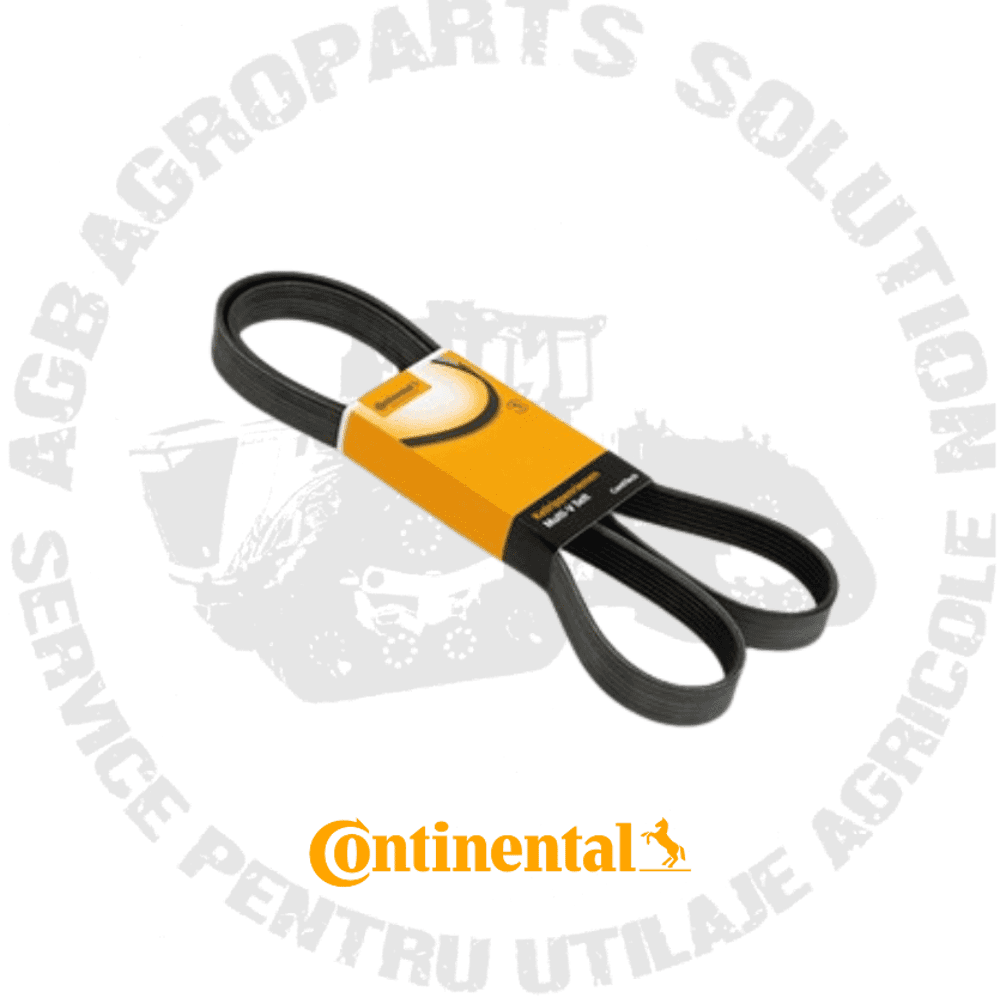 Curea Continental 8PK2460 L111600