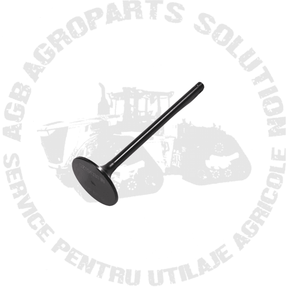 Supapa Admisie  DZ104330