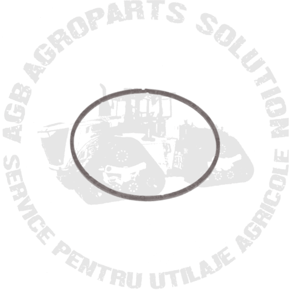 Segmenti R219819