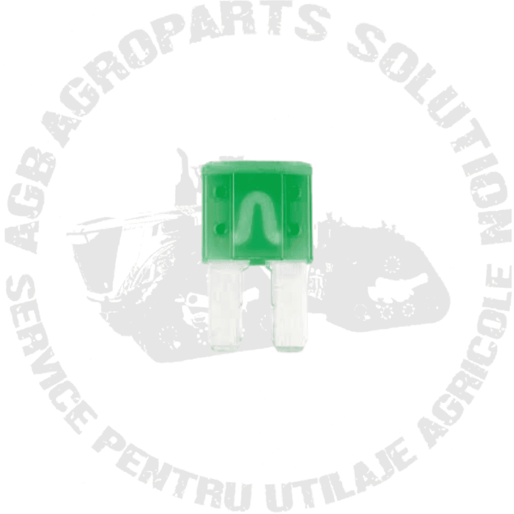 Siguranta Microfuzibila 30A