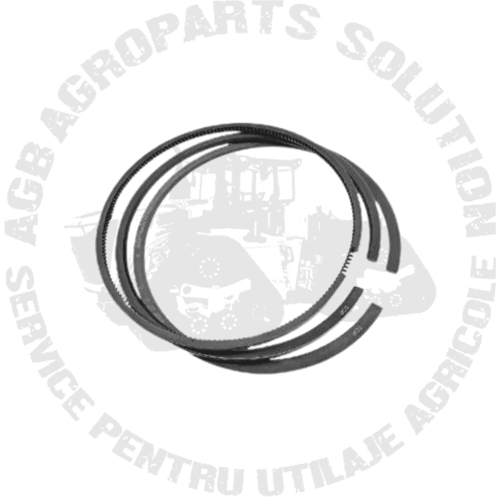 Segmenti RE524453