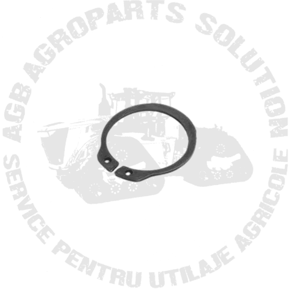 Siguranta Pinion Pivot R126686