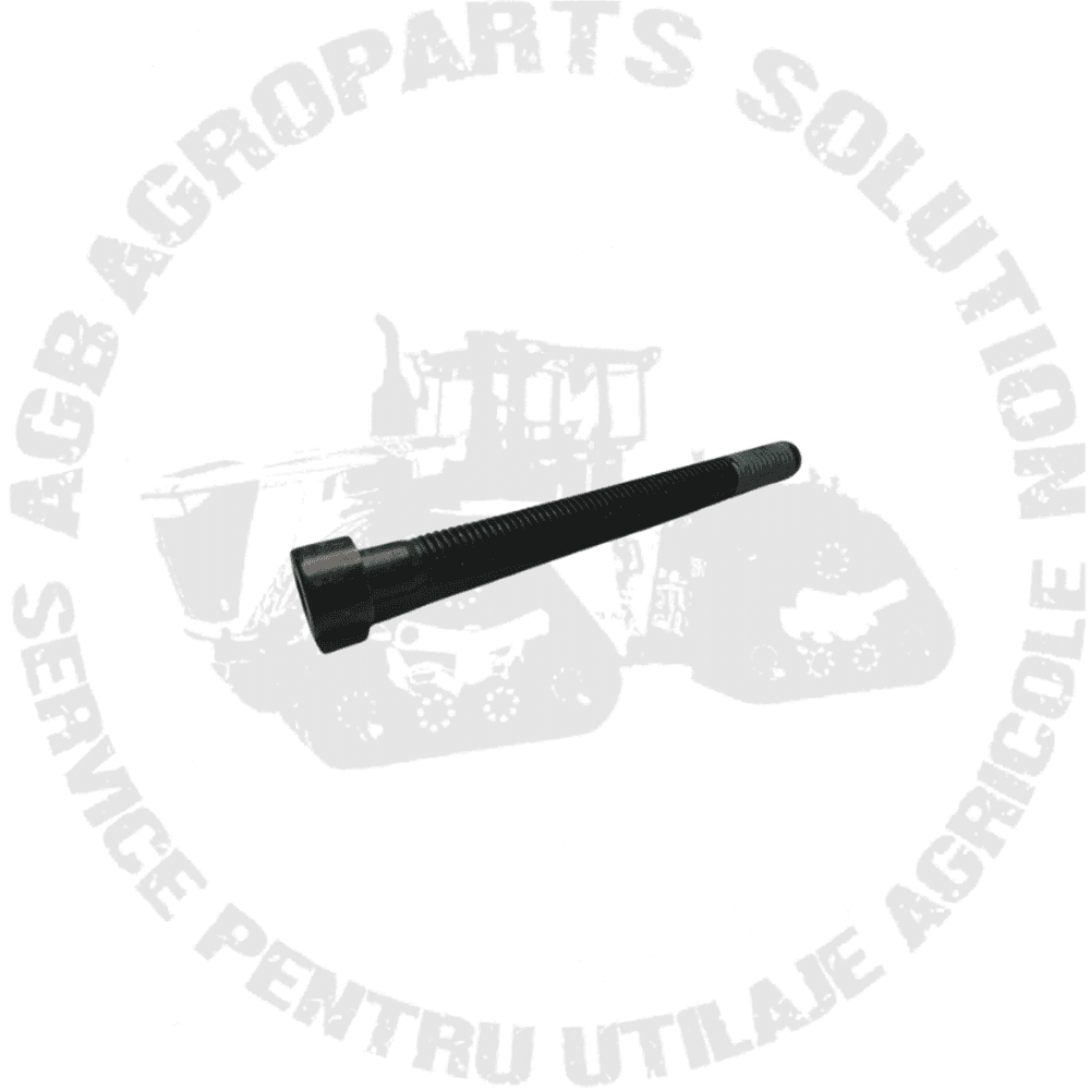 Surub L223621