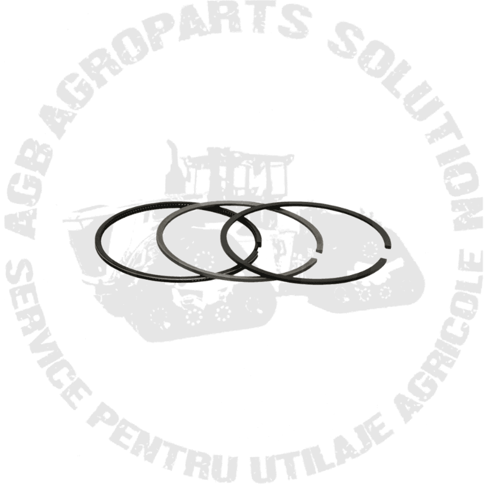 Set segmenti KOLBENSCHMIDT Deutz FAHR 800057310000 04509331 04252677 04505303 101 91 N0